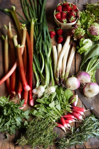 fruits et légumes bio et de saison