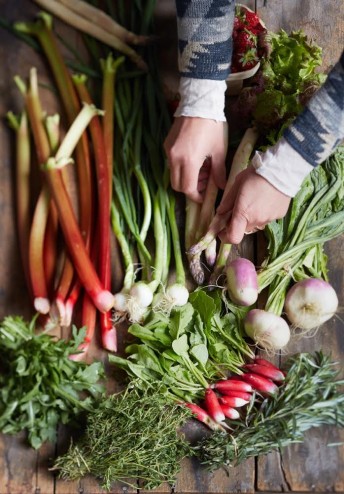 légumes bio et local